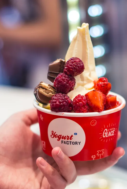 Pot de glace au yaourt aux framboises et chocolat